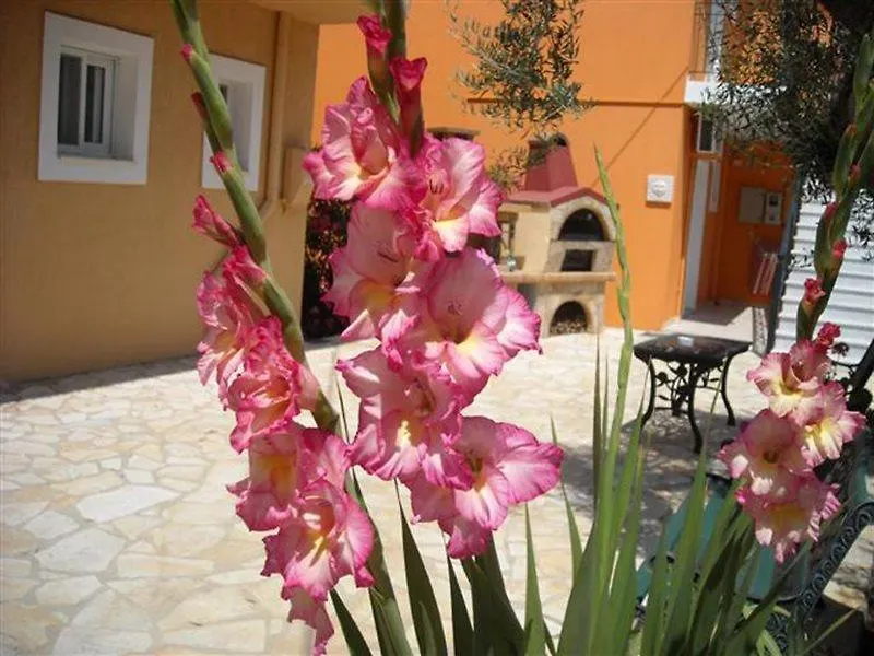 Aparthotel Erietta Studios Svoronata
